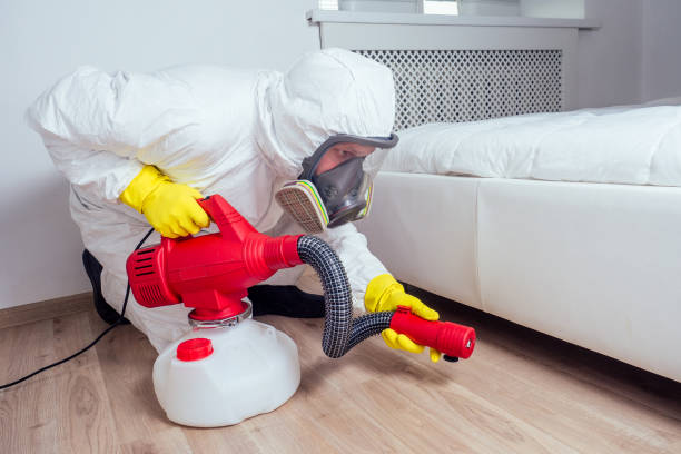 Best Local Pest Control Services  in Providence, KY
