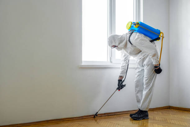 Best Best Pest Control Companies  in Providence, KY