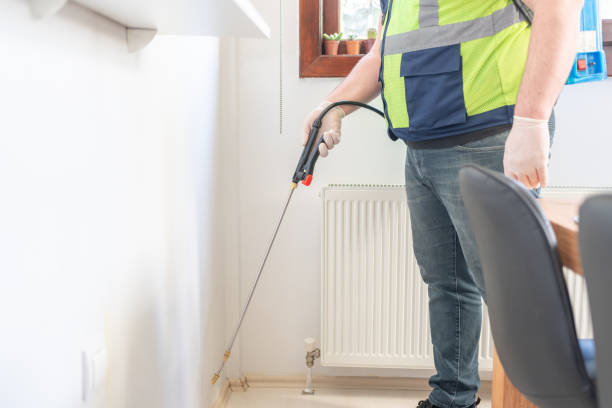 Best Affordable Pest Control Services  in Providence, KY