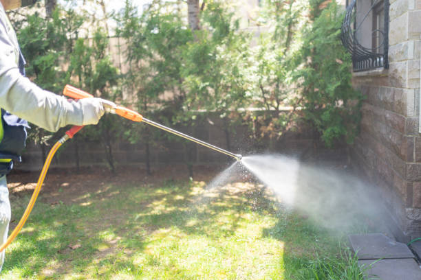 Professional Pest Control in Providence, KY