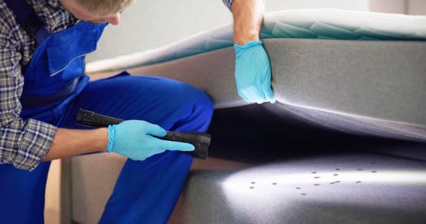 Best Best Pest Control Companies  in Providence, KY